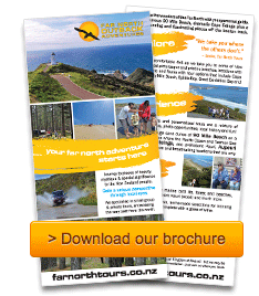 > Download our brochure